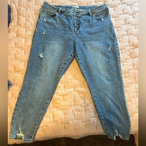 Pistola High Rise Button Fly Distressed Skinny Jean Plus Size Stretch Size 20W